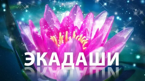 опыт жизни в чистоте и порядке
