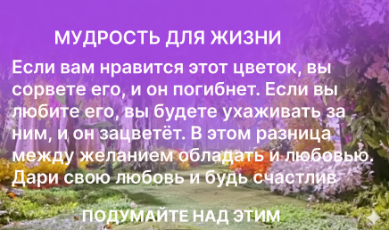 Жизнь по законам любви