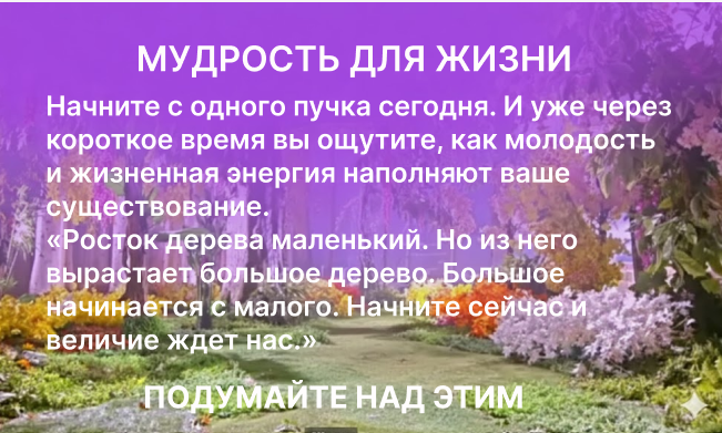 Польза зелени для человека