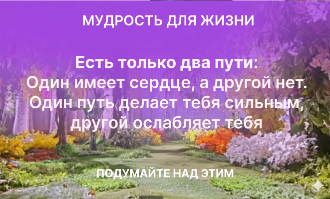вселенские законы